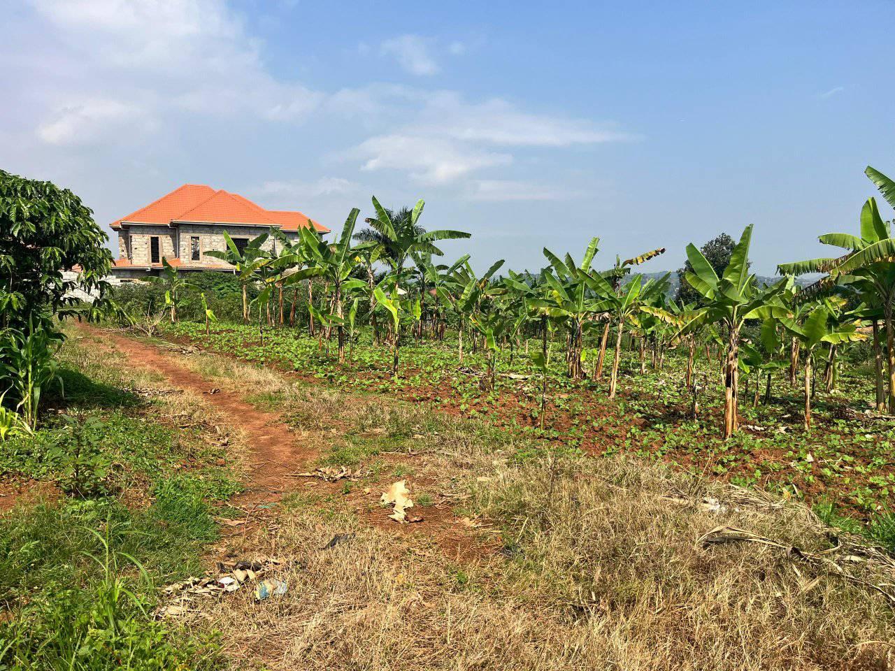 A picture of PRIME PLOT FOR SALE LOCATED WAKISO KONA