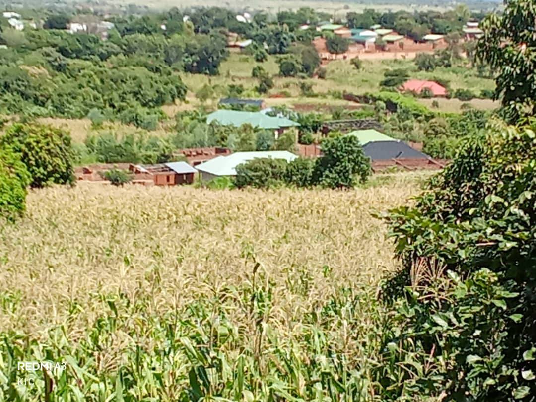 land