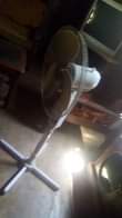 A picture of Feni