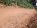 A picture of 60 fertile acres for sale with ready land title sold