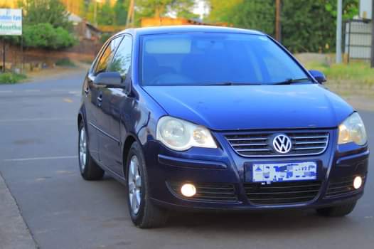 A picture of Polo 5
