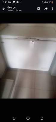 A picture of Thermacool deep freezer 400L few months used fast blocking never