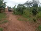 A picture of 2ACRES TITLED LAND KAYONZA PLUS A HOUSE 35M ALL