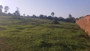 A picture of Am selling Agreement Plot 50ft by 50ft 12Million after YMCA