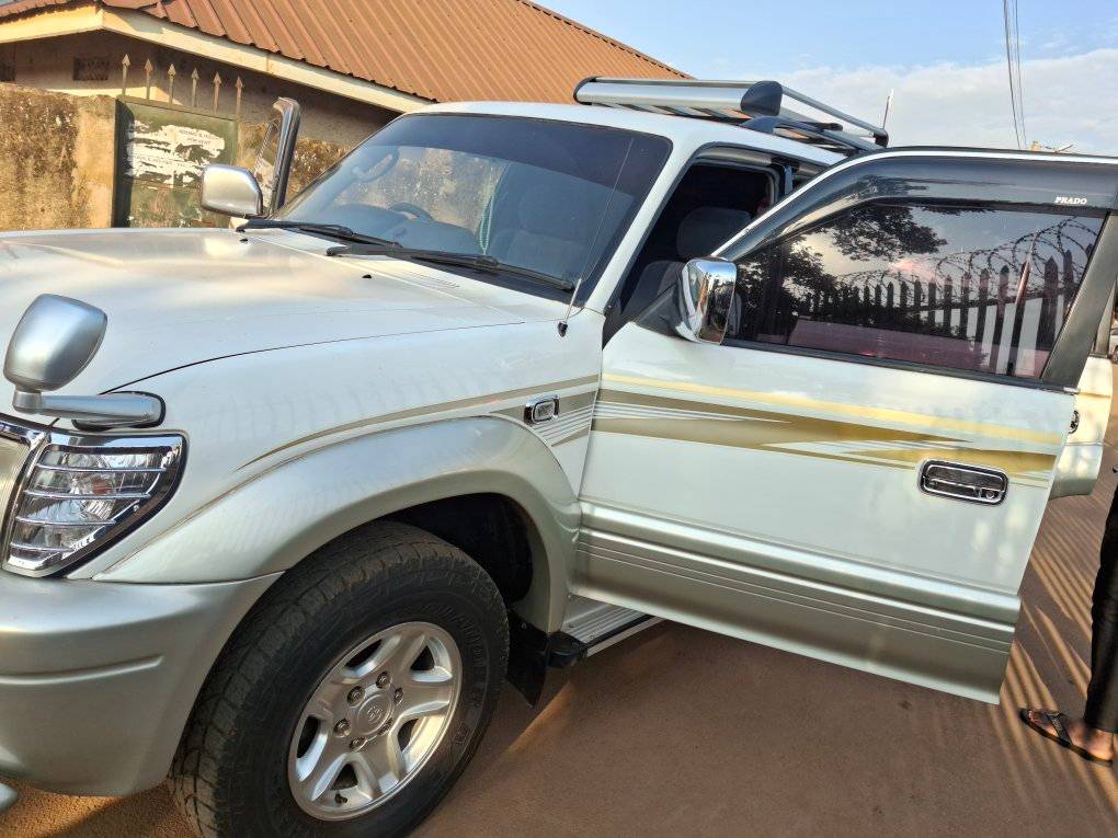 A picture of Prado Petrol 25.5m 0759700430