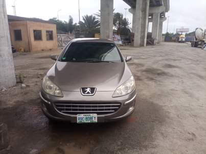 A picture of 2007 Peugeot 407