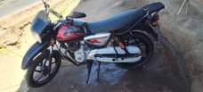 A picture of Boxer 125x