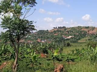 houses kitende