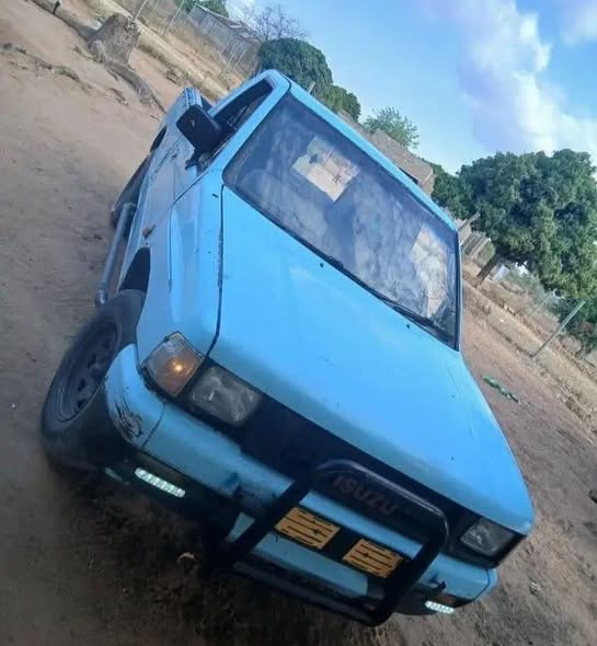 isuzu 250