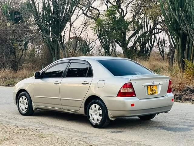 toyota corolla bubble