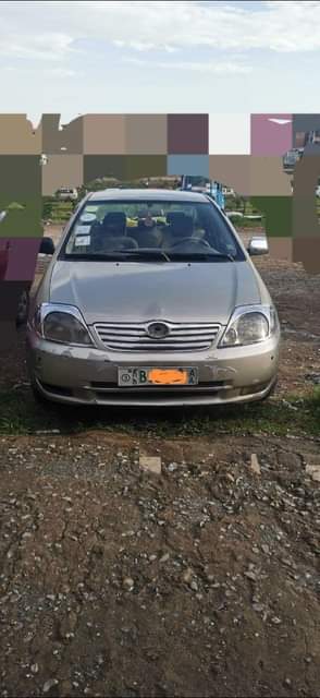 used toyota corolla
