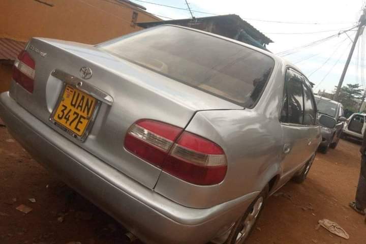 A picture of Toyota kikumi kumi