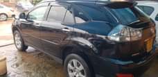 A picture of Harrier for sale