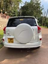 A picture of Rav4