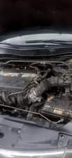 A picture of Honda Accord 2011