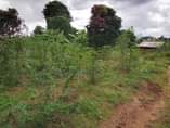 A picture of KIWANHA 40 KWA 40MITA KIPO BARABARA KUU YA MLANDIZI MZENGA