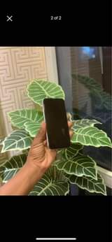 A picture of iPhone x
