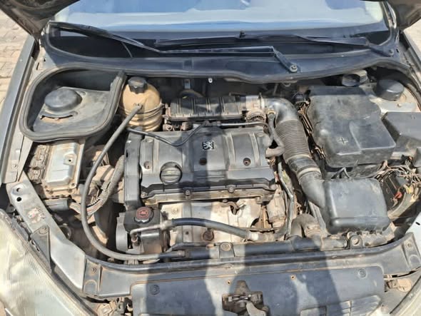 A picture of Peugeot 206