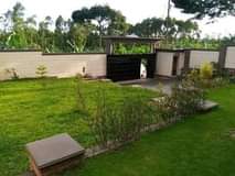 A picture of House for sale