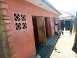A picture of MATUGA TOWN 35m deal Rentals 4 double units making 600