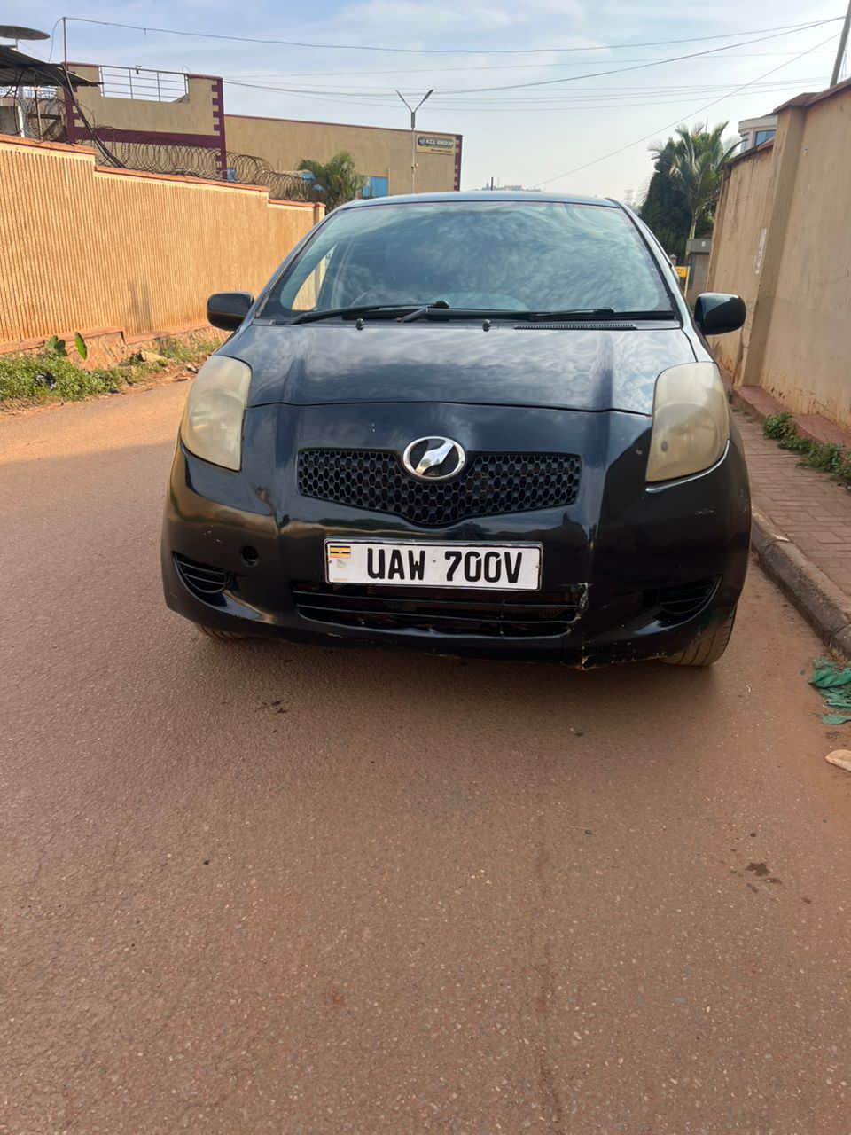 A picture of Vitz