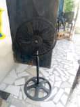 A picture of Feni na pasi