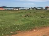 A picture of Ready plots on sale Nkumba