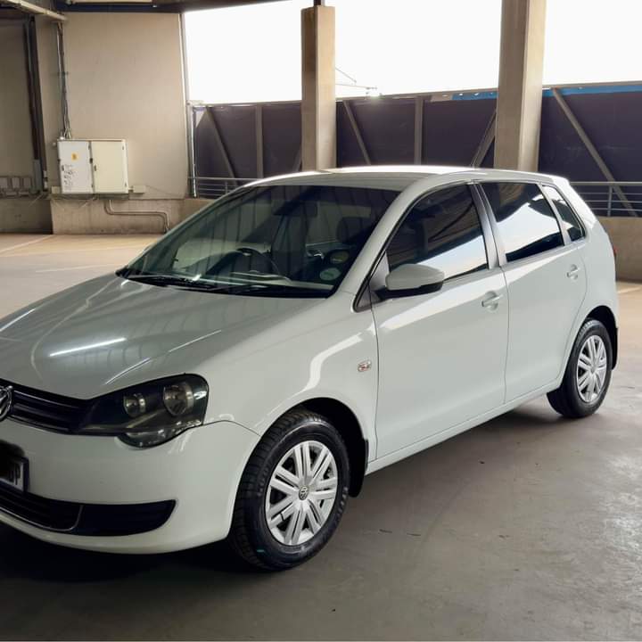 polo vivo