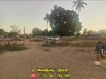 A picture of TUNAUZA VIWANJA MBAGALA CHAMAZI VIKYUTA BEI TSH MILLION 4 PIGA