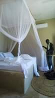 A picture of Net zipo tunashona