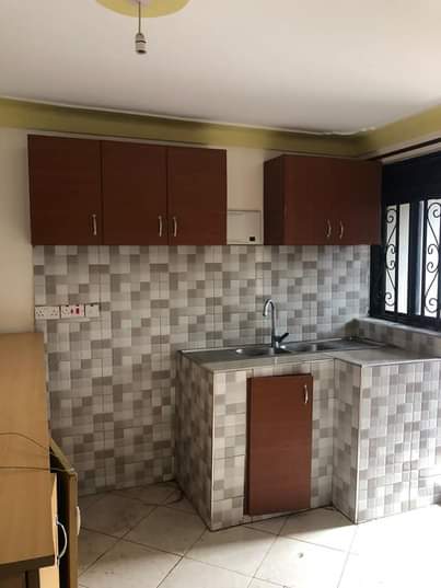 A picture of Katungi properties