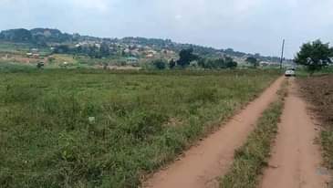 A picture of PLOTS ON SALE ALONG MITYANA ROAD WITH TITLES 50 100FT