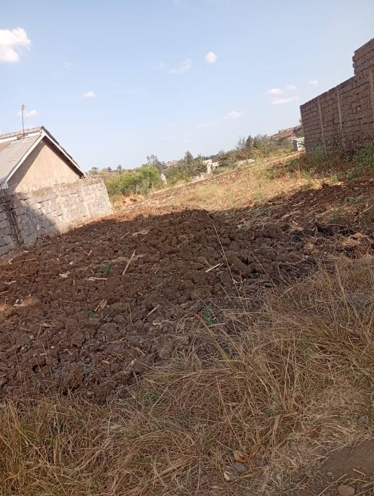 kenya plots