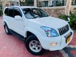 A picture of PRADO DIAMOND 0652438053