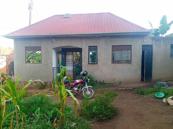 houses matugga