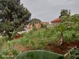 A picture of A plot measuring 22decimals for sale UGX190m in Kyanja Kungu.