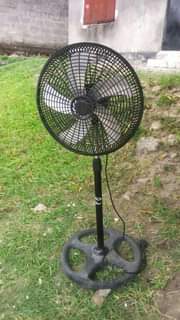 A picture of NAUZ FENI USED