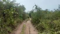 A picture of BUY 10 ACRES AT 7M EACH