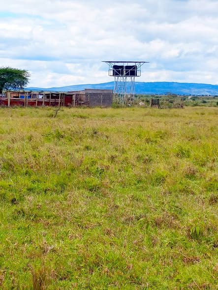 house kitenge