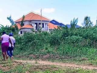 A picture of Cheap plots