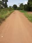 A picture of 2 fertile acres for sale with electricity and water 10km