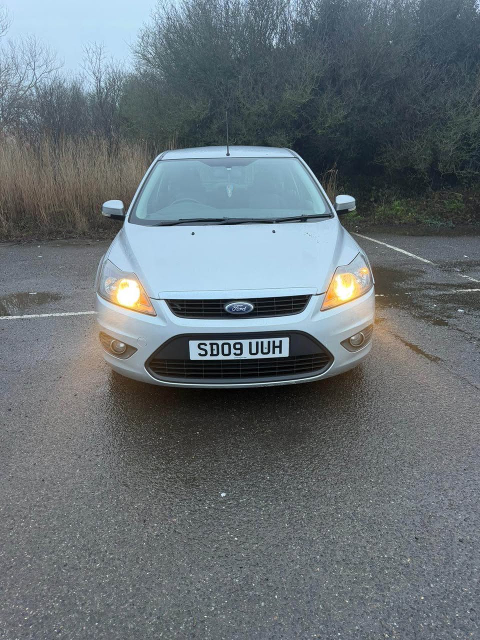 ford zetec