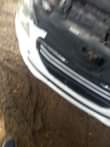 A picture of Brand new Peugeot 301manual